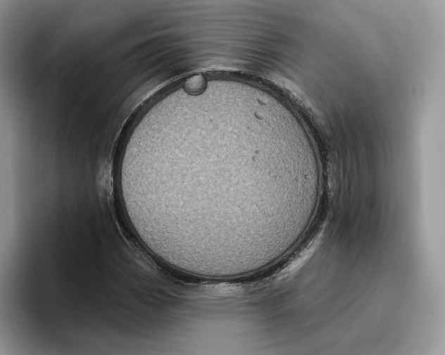 X0000095961113200802011116