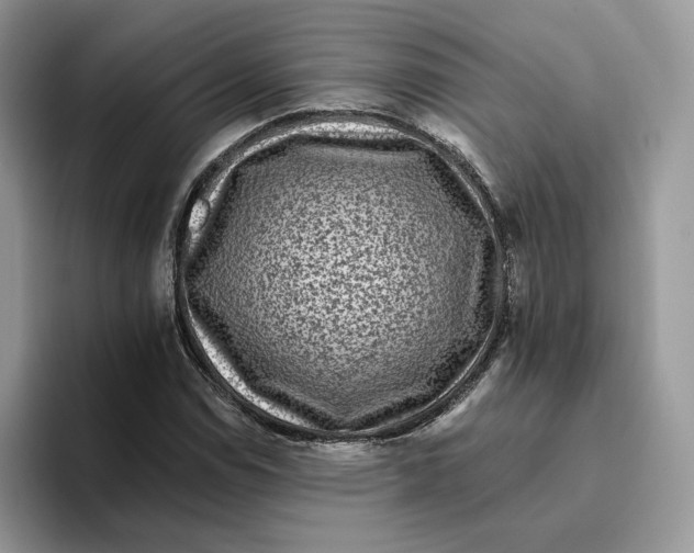 X0000095961114200802011116