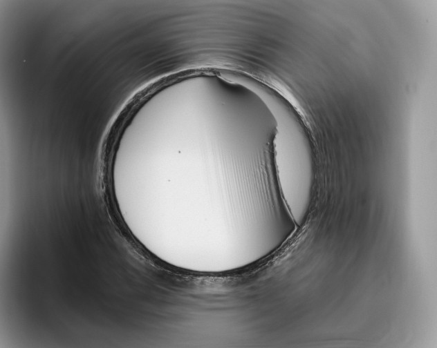 X0000095961116200802011116