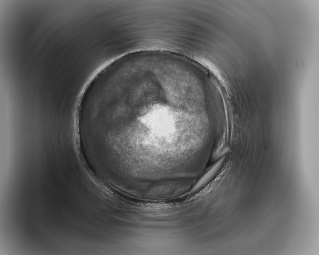 X0000095961120200802011116