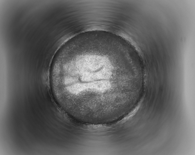 X0000095961121200802011116