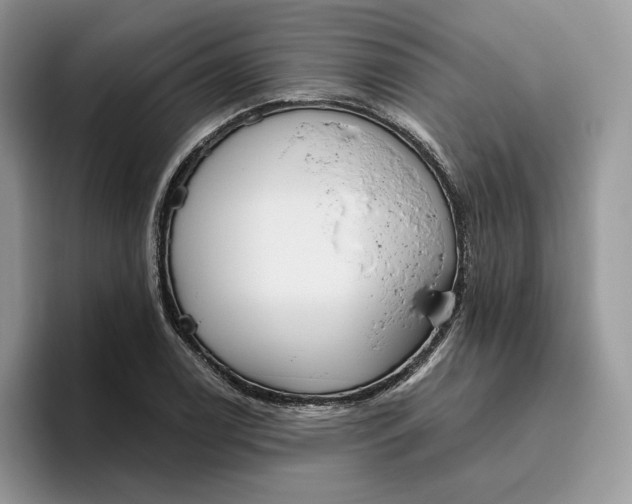 X0000095961122200802011116