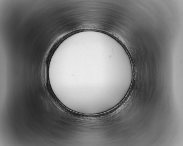 X0000095961123200802011116