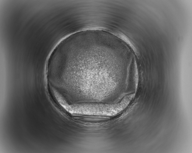 X0000095961124200802011116