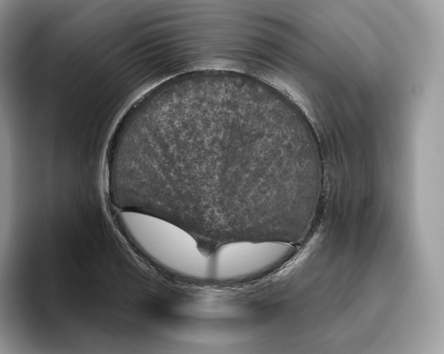 X0000095961125200802011116