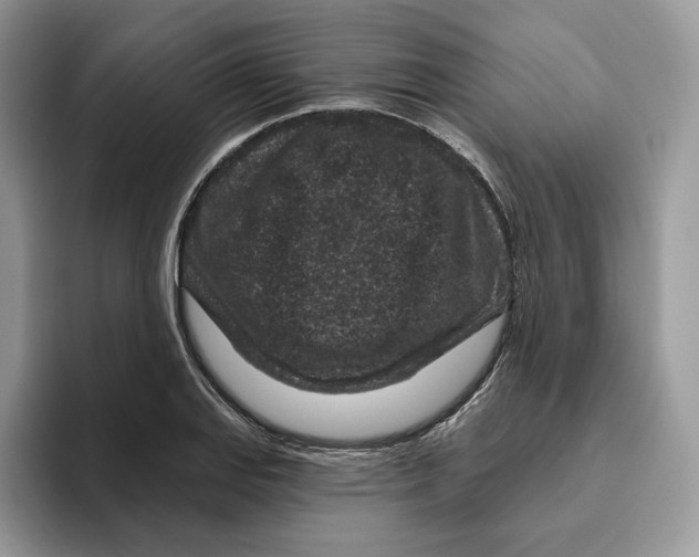 X0000095961127200802011116