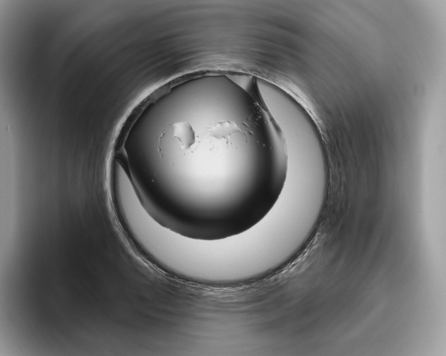 X0000095961128200802011116