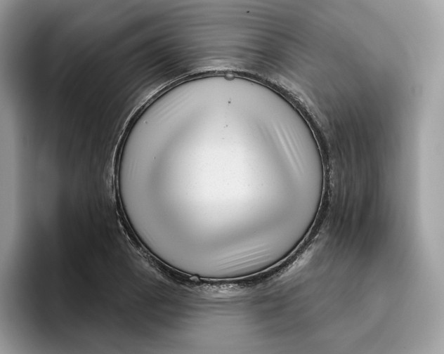 X0000095961129200802011116