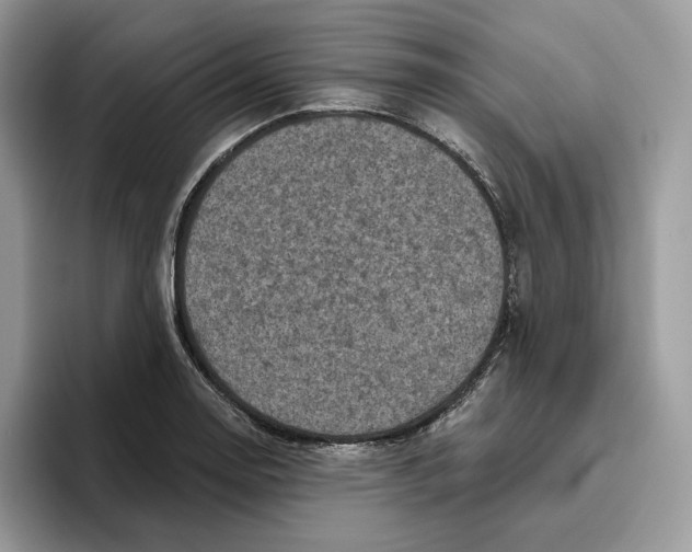 X0000095961130200802011116