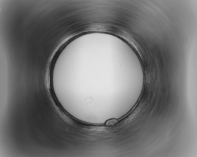 X0000095961131200802011116