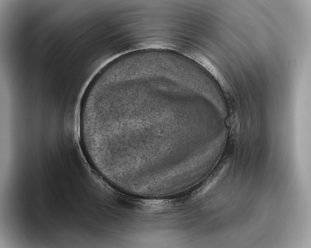 X0000095961132200802011116