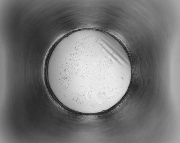 X0000095961135200802011116