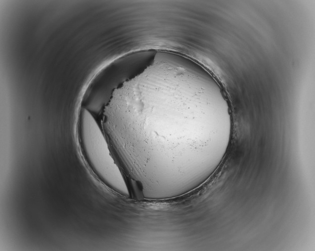 X0000095961136200802011116