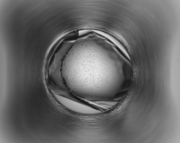 X0000095961138200802011117