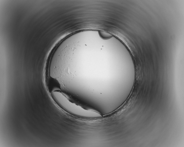 X0000095961139200802011117