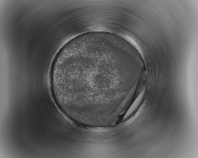 X0000095961141200802011117