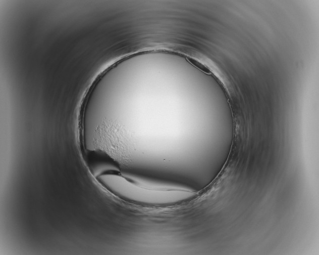 X0000095961143200802011117