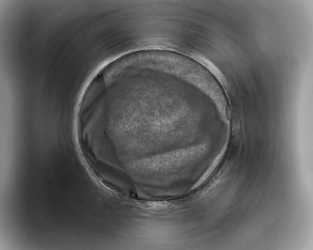 X0000095961144200802011117