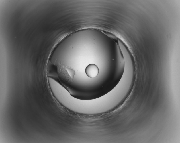 X0000095961145200802011117