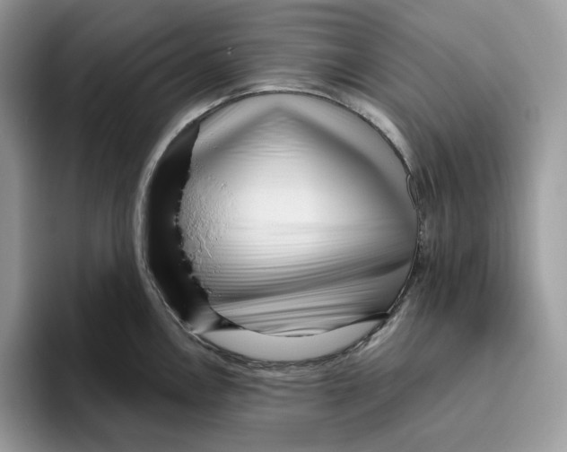 X0000095961146200802011117