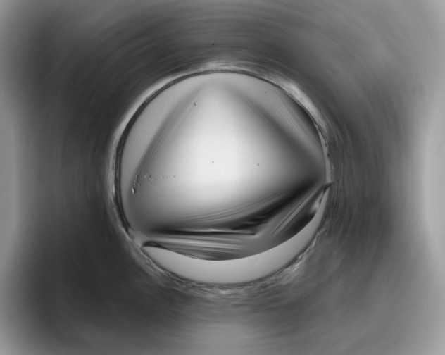 X0000095961148200802011117