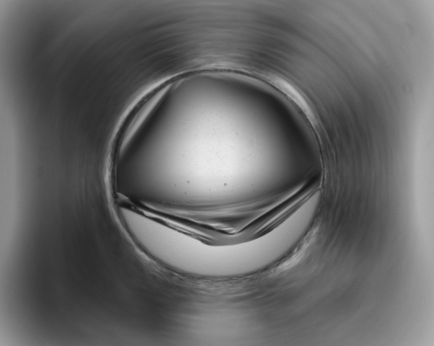 X0000095961149200802011117