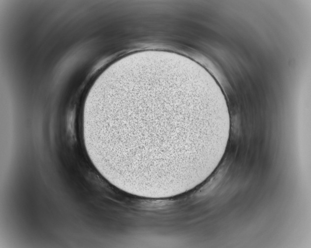 X0000095961150200802011117