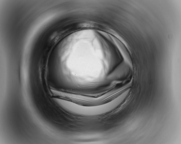 X0000095961151200802011117