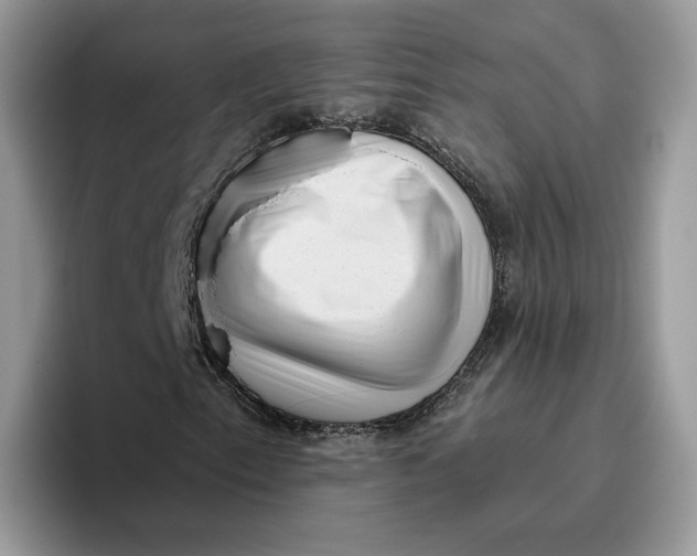 X0000095961153200802011116