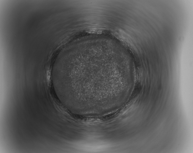 X0000095961154200802011116