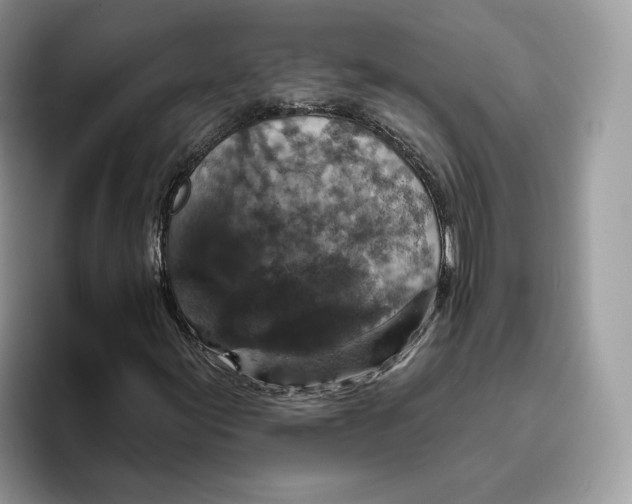 X0000095961155200802011116