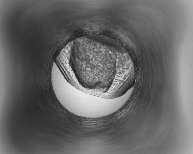 X0000095961156200802011116