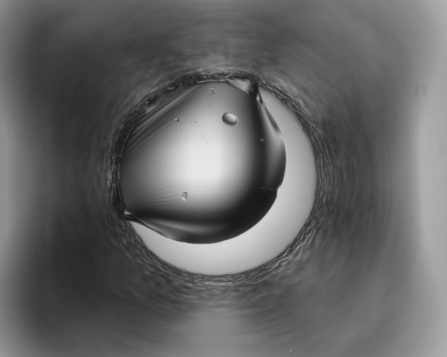 X0000095961157200802011116