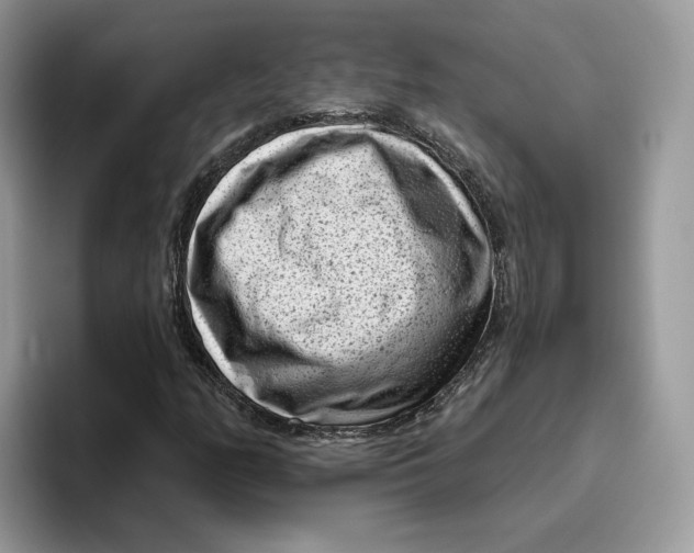 X0000095961158200802011116