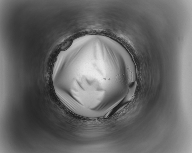 X0000095961159200802011116