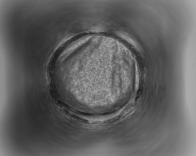 X0000095961160200802011116