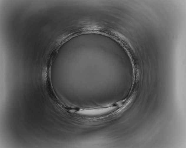 X0000095961161200802011116