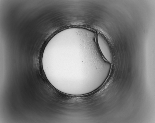 X0000095961162200802011116