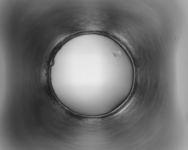 X0000095961163200802011116