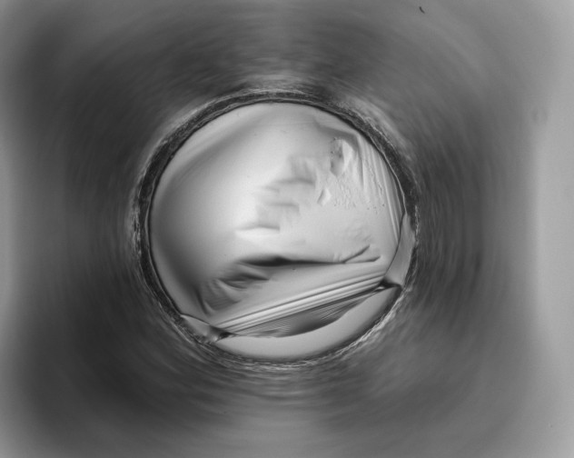 X0000095961164200802011116