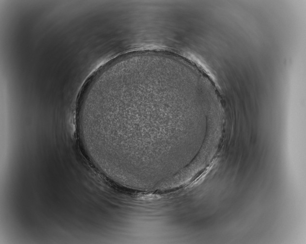 X0000095961165200802011116