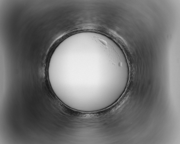 X0000095961166200802011116