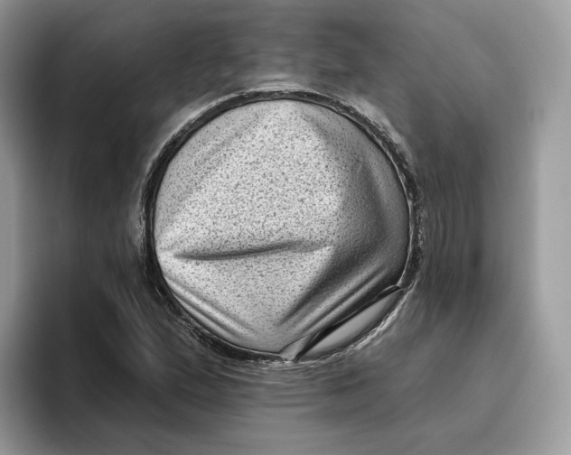 X0000095961167200802011116