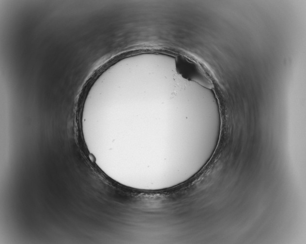 X0000095961168200802011116