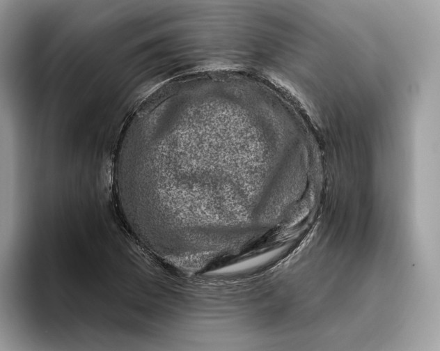 X0000095961169200802011116