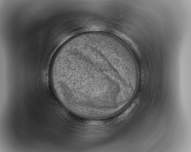 X0000095961170200802011116