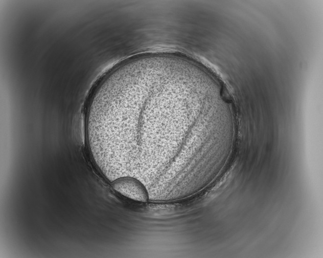 X0000095961171200802011116