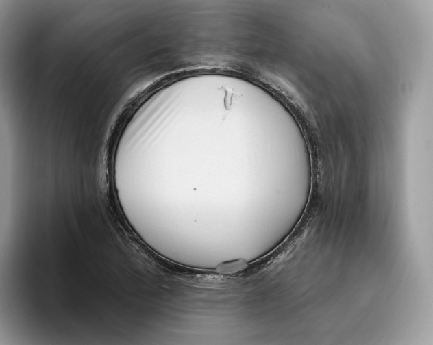 X0000095961172200802011116