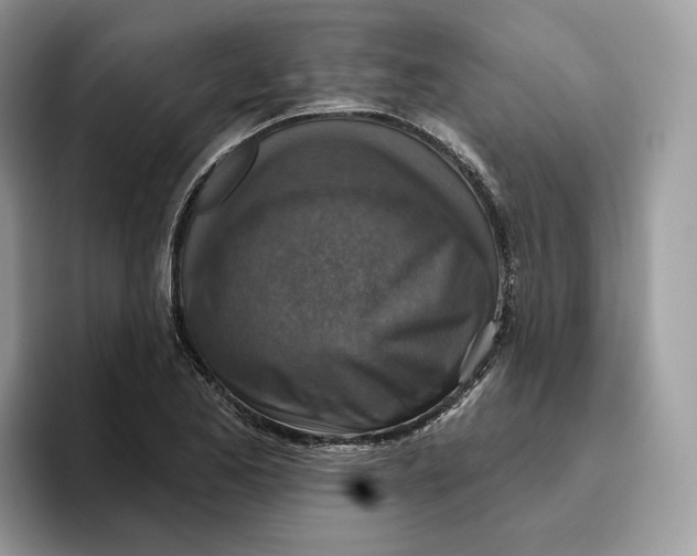 X0000095961173200802011116