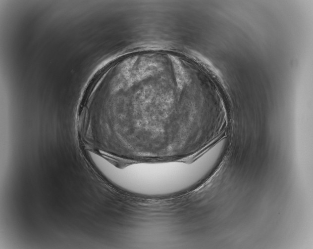 X0000095961174200802011116